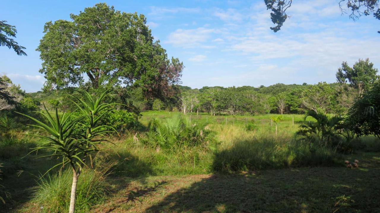 Lodge Umusa KwaMazambane Extérieur photo