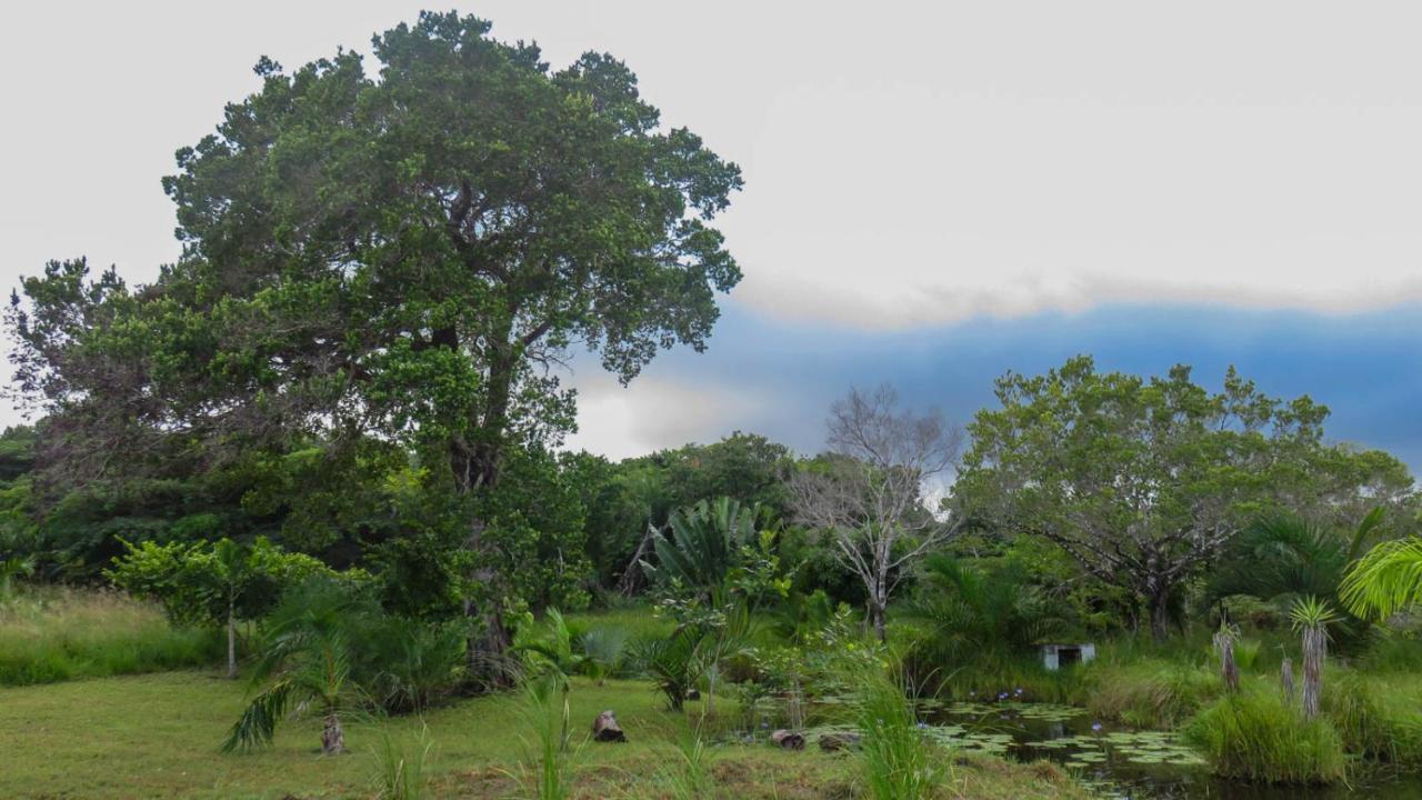Lodge Umusa KwaMazambane Extérieur photo