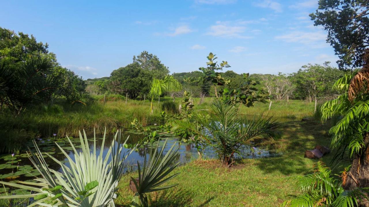 Lodge Umusa KwaMazambane Extérieur photo