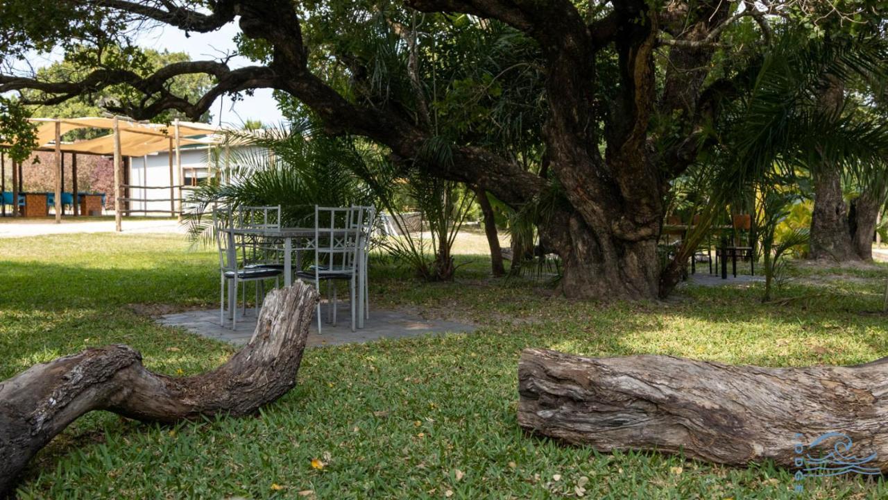 Lodge Umusa KwaMazambane Extérieur photo